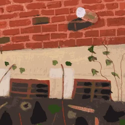 Immagine sconosciuta